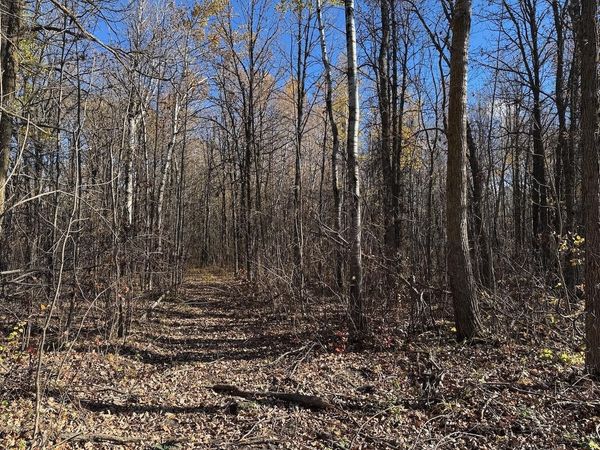 TBD Spangrud Court NE, Kelliher, MN 56650
