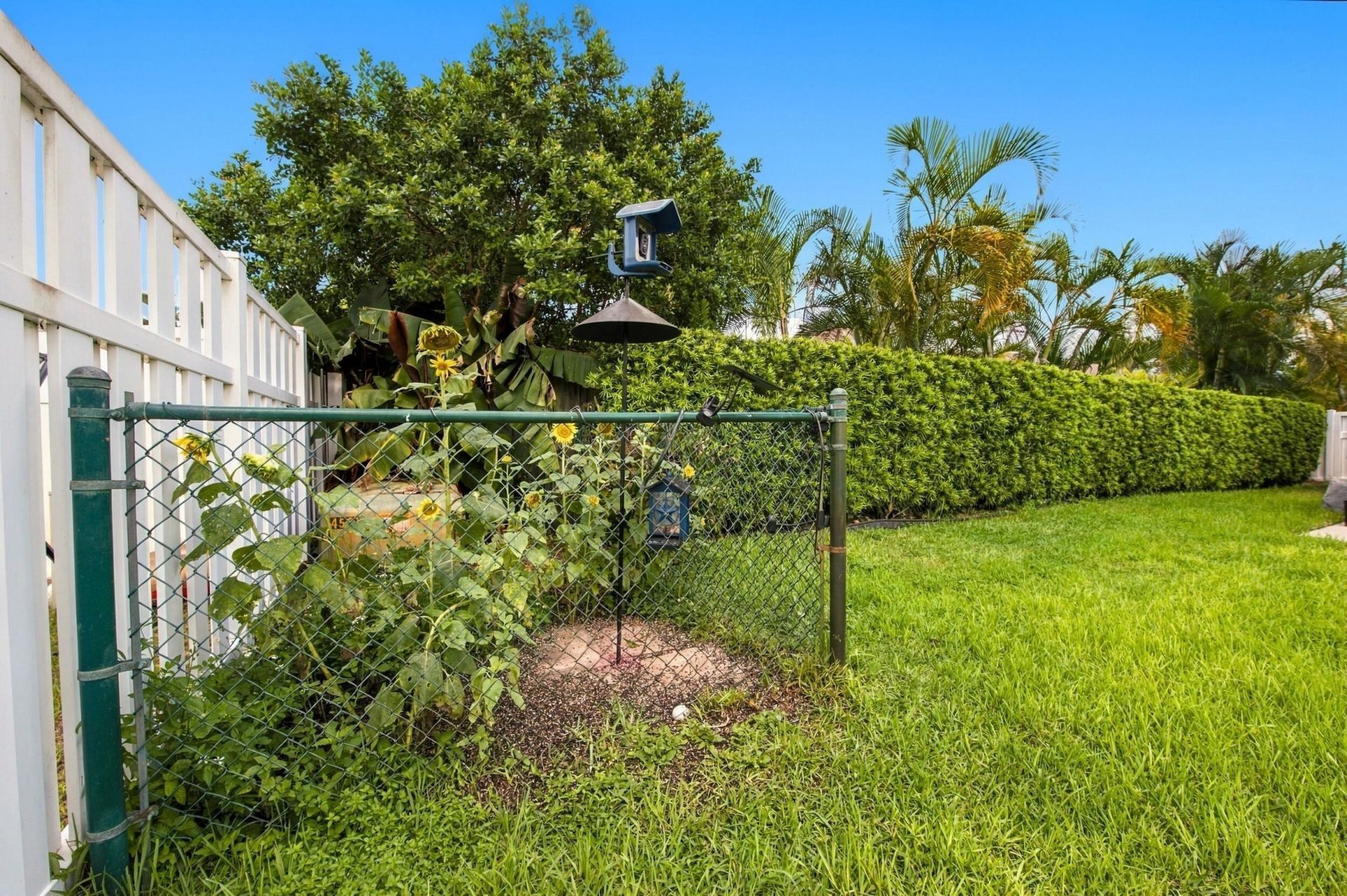 626 NW 100th Way, Coral Springs, FL 33071 Photo