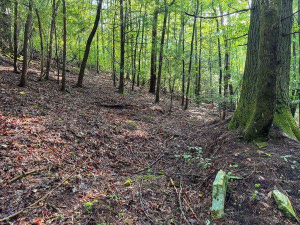 000 Tall Tree Trail, Dunlap, TN 37327