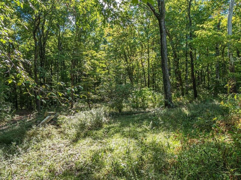 6665 County Rd 54 Road, Mount Perry, OH 43760 Photo 48