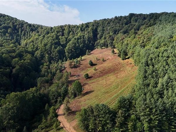 00 Lot 105 Irwin Grocery Road , Laurel Springs, NC 28644