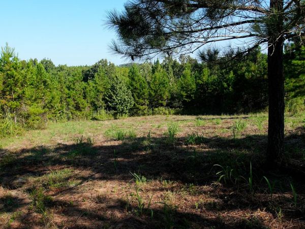0 Ables Rd, Cherokee, AL 35616