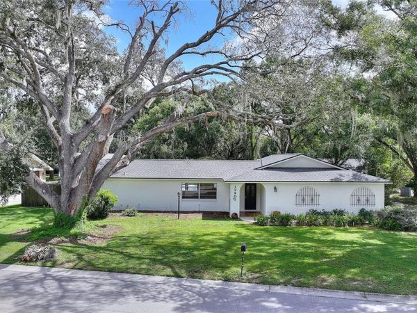 12201 ELSMERE COURT , THONOTOSASSA, FL 33592