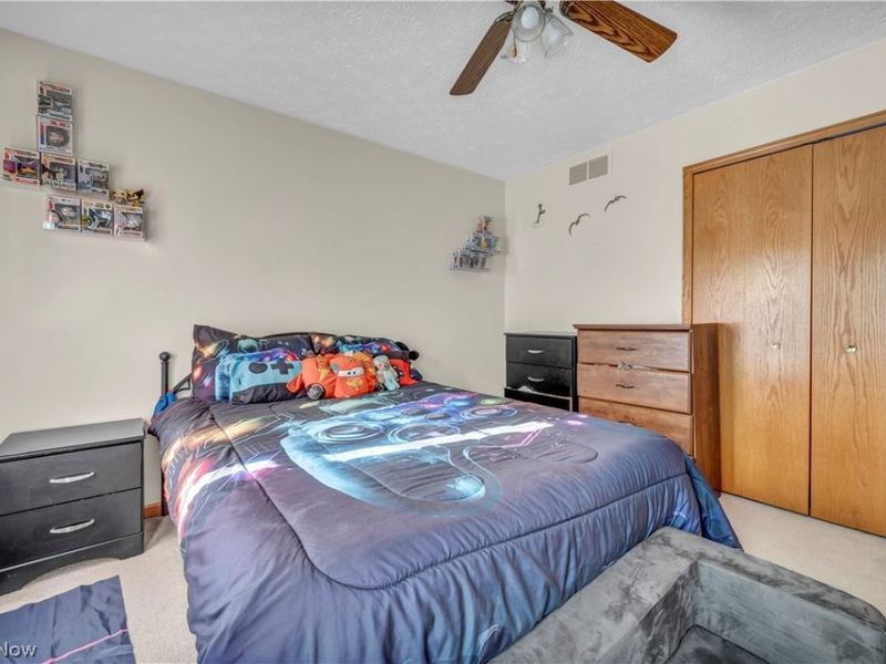 5698 Halwick Drive, Ravenna, OH 44266 Photo 21