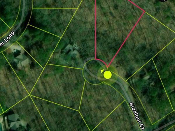 110 Siddiqui Court, Waleska, GA 30183