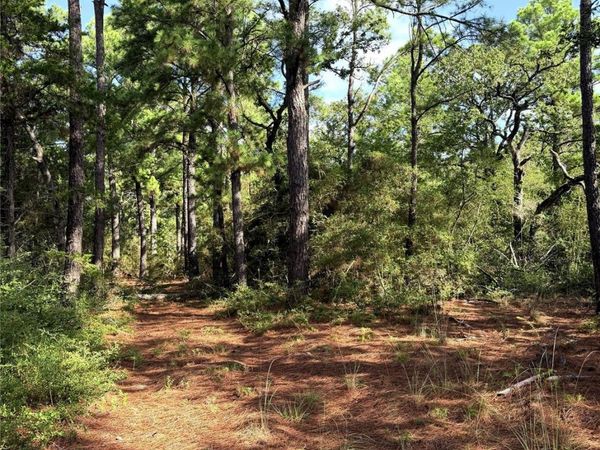 TBD Marlin ST, McDade, TX 78650