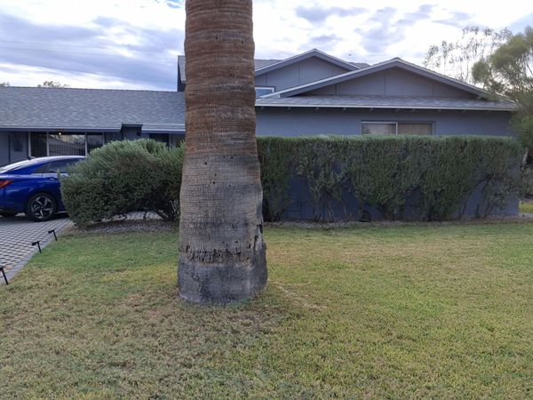 643 E WESLEYAN Drive, Tempe, AZ 85282