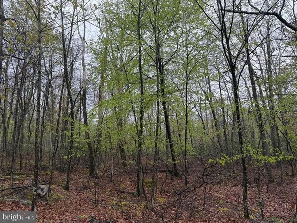 569 HAYSTACK DRIVE, ZION GROVE, PA 17985