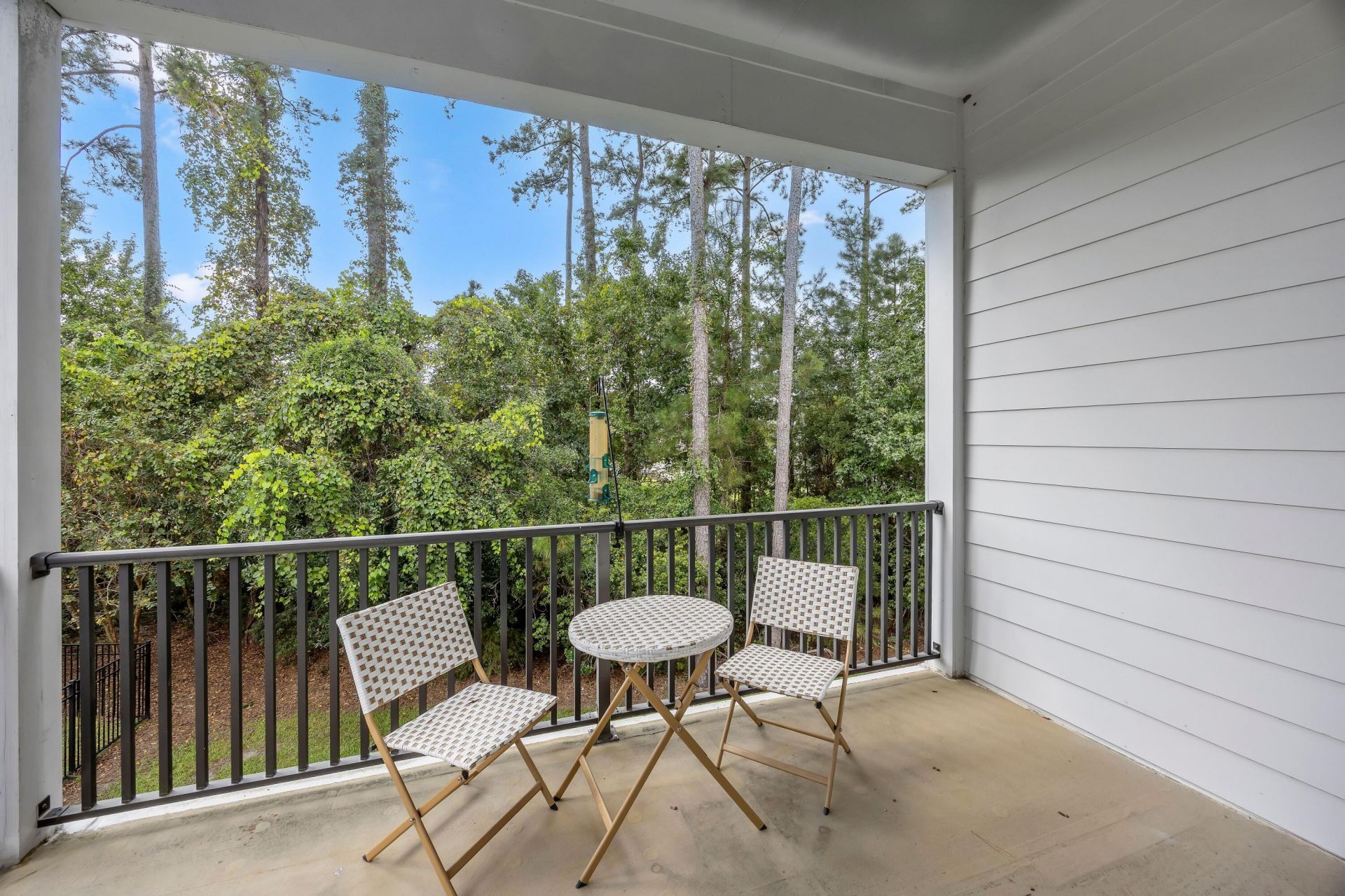 23 Augustine Road Photo 39