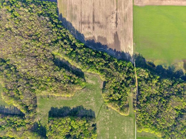 000 County road 3175 , Cowden, IL 62422