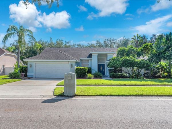 4008 EAGLES NEST DRIVE , VALRICO, FL 33596