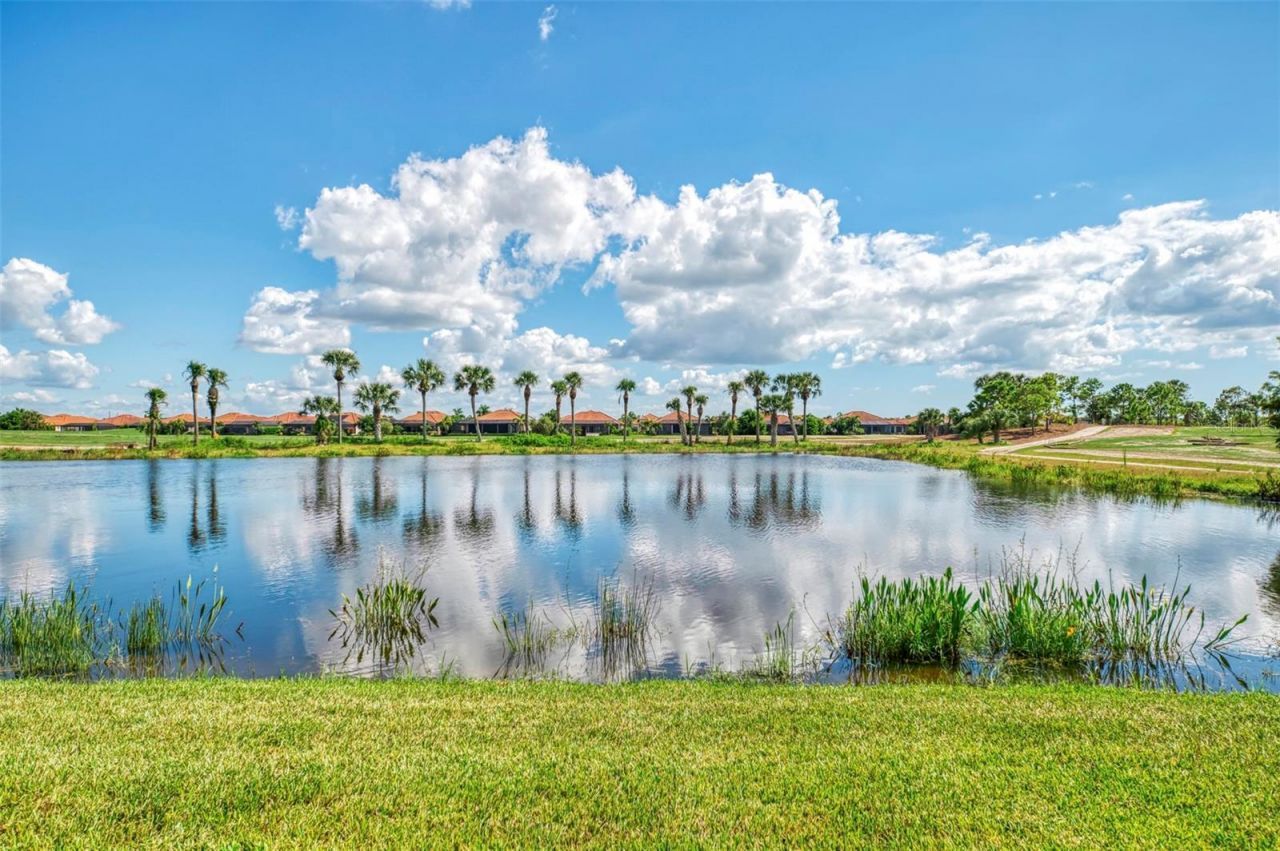 10800 Whisk Fern Drive, Venice, FL 34293 Photo