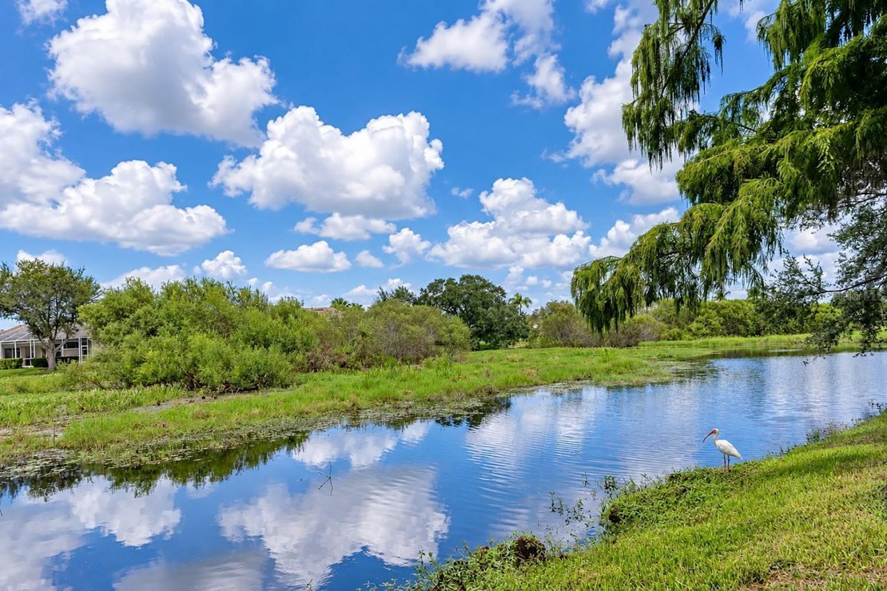 5113 Flagstone Drive, Sarasota, FL 34238 Photo