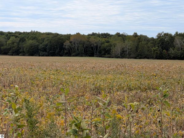 6571 Saint Charles Road W, Sumner, MI 48801