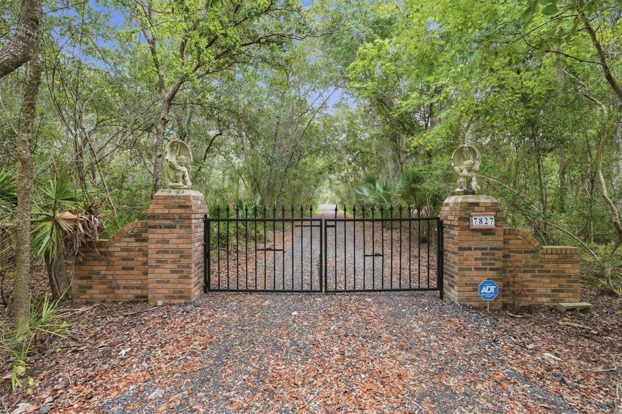 7827 NE 310th Avenue, Fort Mc Coy, FL 32134 Photo