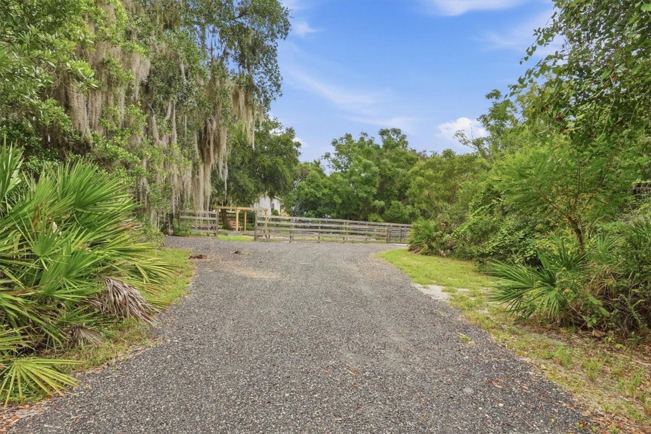7827 NE 310th Avenue, Fort Mc Coy, FL 32134 Photo