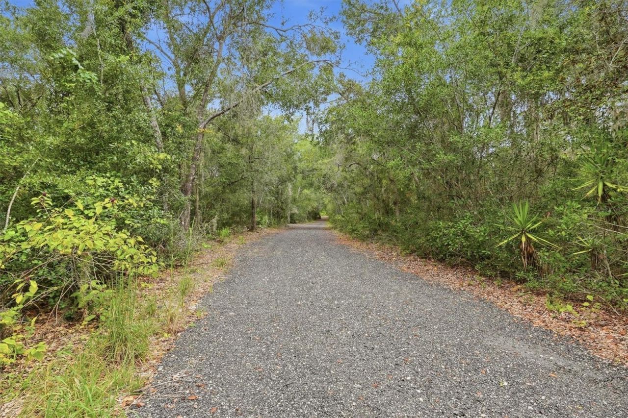 7827 NE 310th Avenue, Fort Mc Coy, FL 32134 Photo