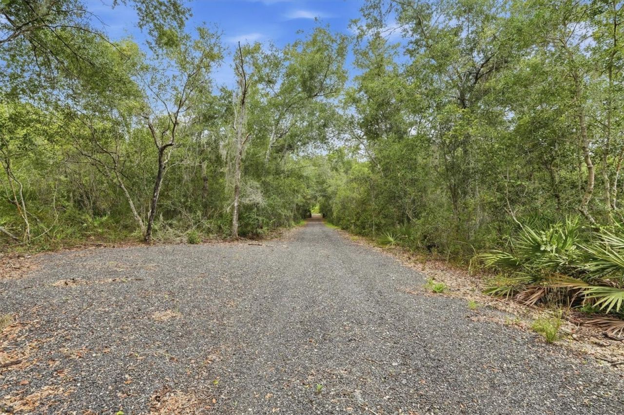 7827 NE 310th Avenue, Fort Mc Coy, FL 32134 Photo