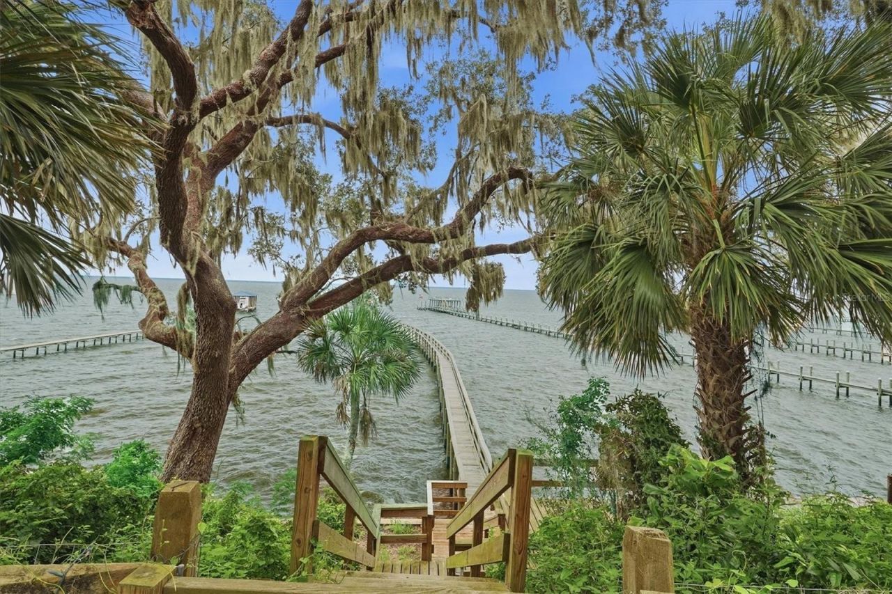 7827 NE 310th Avenue, Fort Mc Coy, FL 32134 Photo