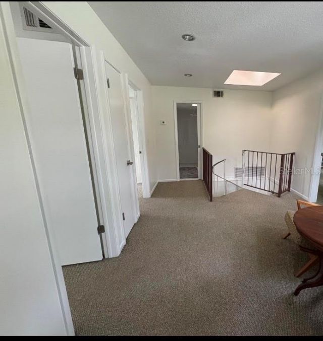 4223 E Riverhills Drive, Tampa, FL 33617 Photo