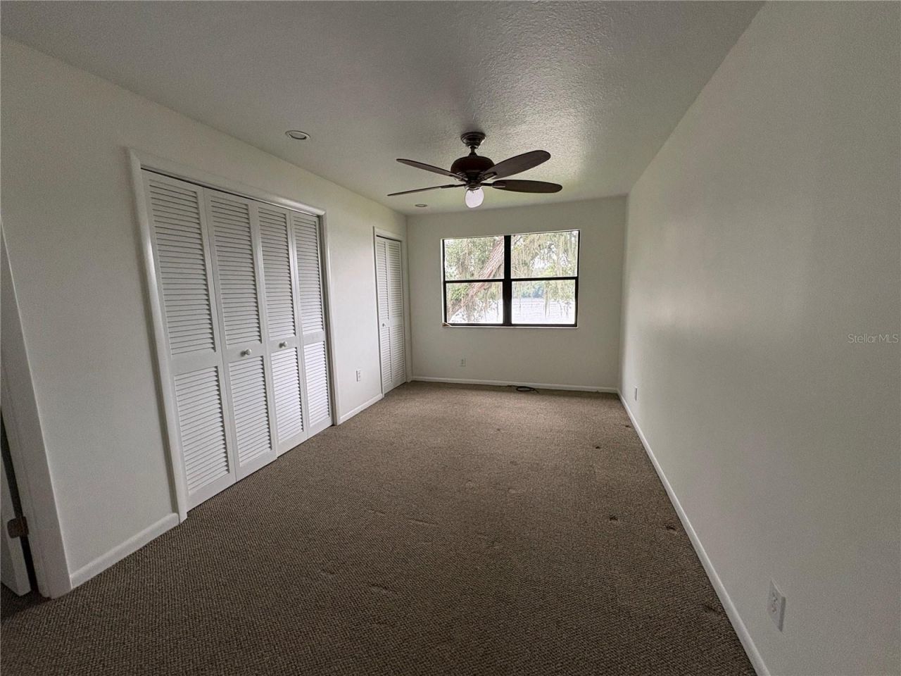 4223 E Riverhills Drive, Tampa, FL 33617 Photo