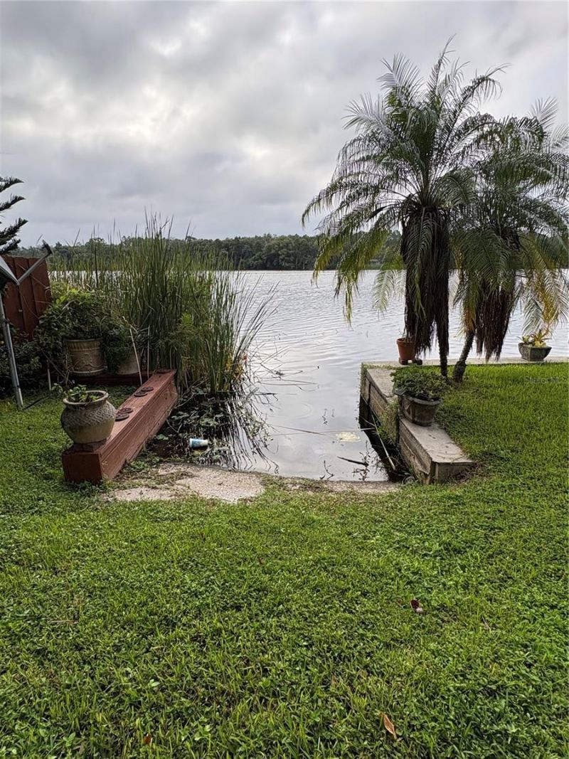 4223 E Riverhills Drive, Tampa, FL 33617 Photo