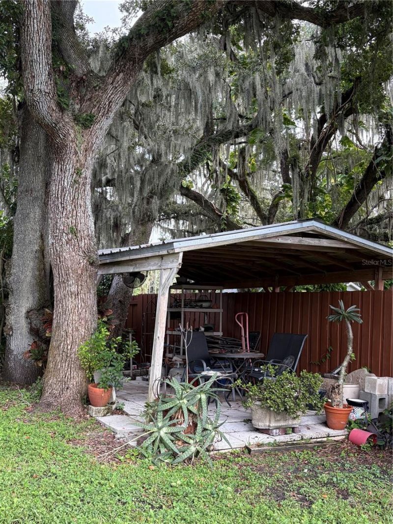 4223 E Riverhills Drive, Tampa, FL 33617 Photo