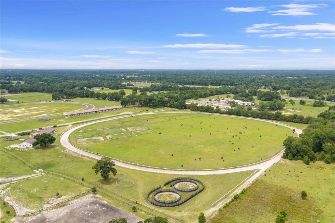 1345-10 NE 155 Pl, Citra, FL 32113 Photo