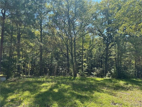 97 HIGHWAY 17 S, Vernon, AL 35592