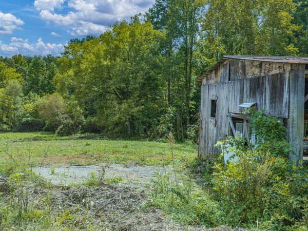 3509 Bell Road, White Pine, TN 37890
