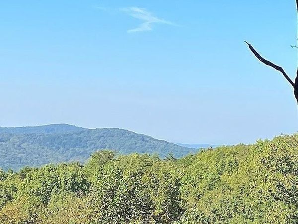 0 Piney Spur Road , Ellijay, GA 30536