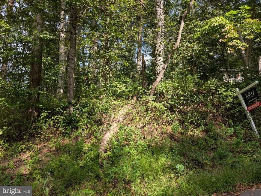 Lots 126-127 Codjus Drive, Rising Sun, MD 21911 Main Photo