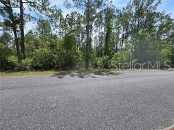 W BLUEBELL AVENUE , EUSTIS, FL 32736