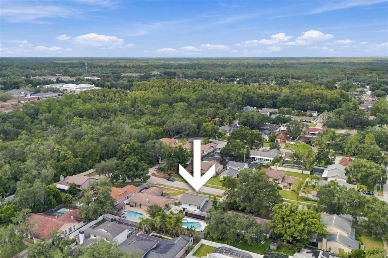 6107 Oak Fern Court , Temple Terrace, FL 33617 Photo