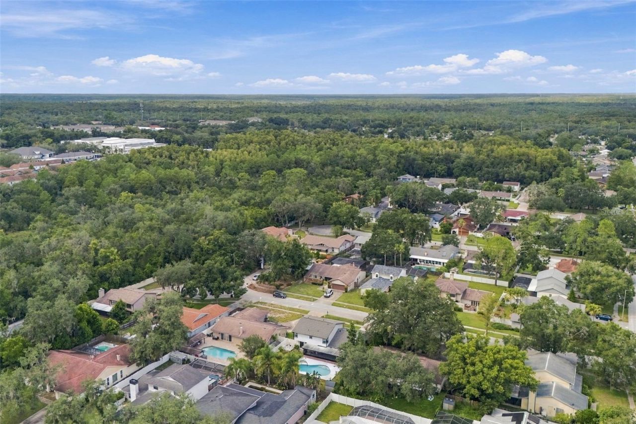 6107 Oak Fern Court , Temple Terrace, FL 33617 Photo