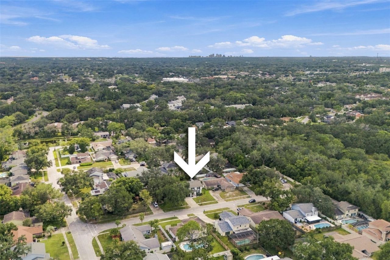 6107 Oak Fern Court , Temple Terrace, FL 33617 Photo