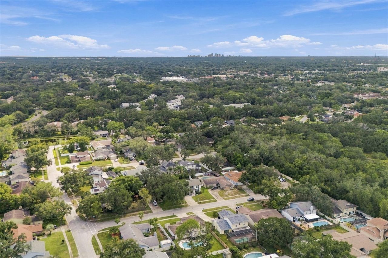 6107 Oak Fern Court , Temple Terrace, FL 33617 Photo