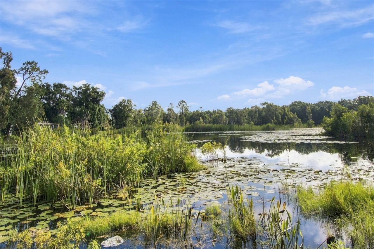 6210 Land O Lakes Boulevard , Land O Lakes, FL 34638 Photo