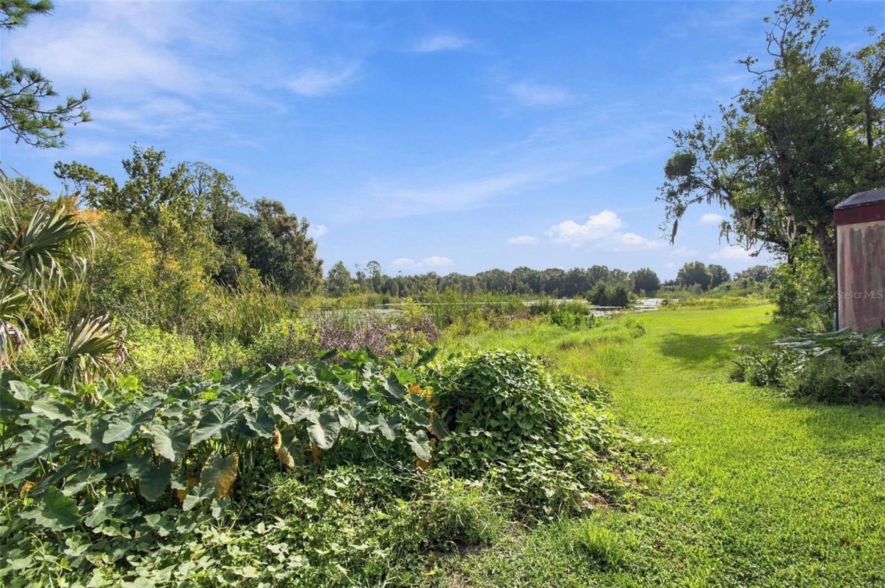 6210 Land O Lakes Boulevard , Land O Lakes, FL 34638 Photo