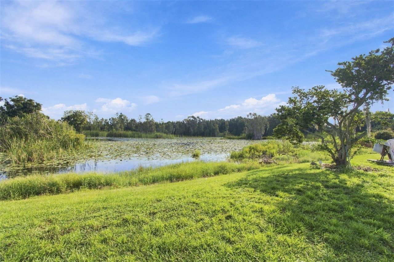6210 Land O Lakes Boulevard , Land O Lakes, FL 34638 Photo