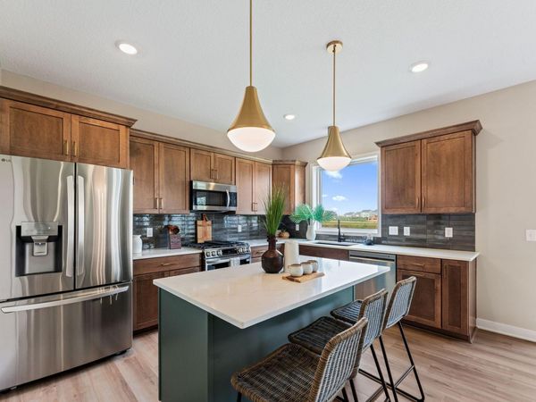 15029 Ardmullivan Lane, Rosemount, MN 55068