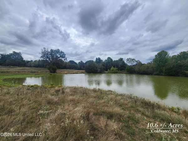 10.61 Old Memphis Oxford Road, Coldwater, MS 38618