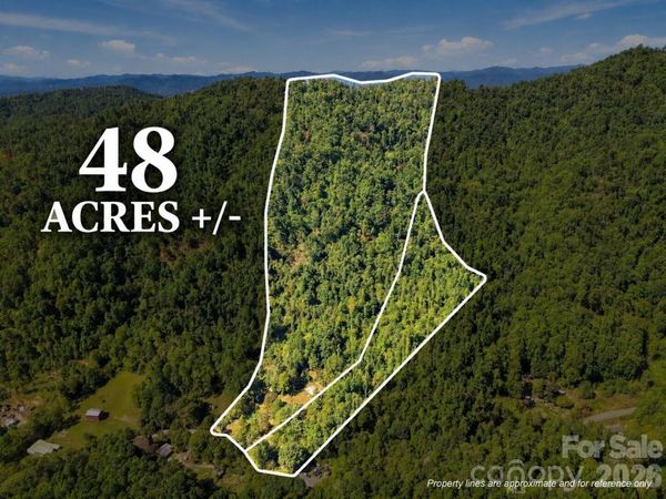 360 Poverty Branch Road, Barnardsville, NC 28709