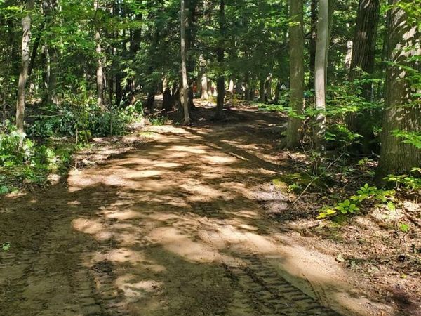8204 Partridge Woods, Elk Rapids Township, Mi 49629