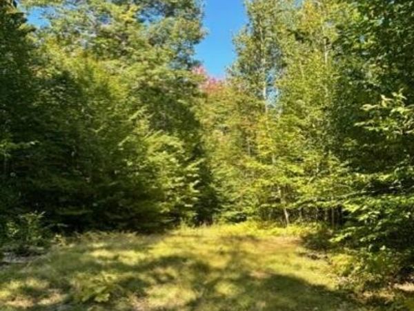 0 Beech Ridge Road , Jay, ME 04239