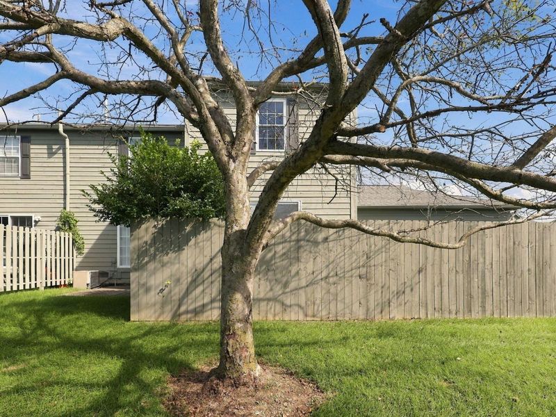 4027 Blendon Grove Way, Unit 45A, Gahanna, OH 43230 Photo 38