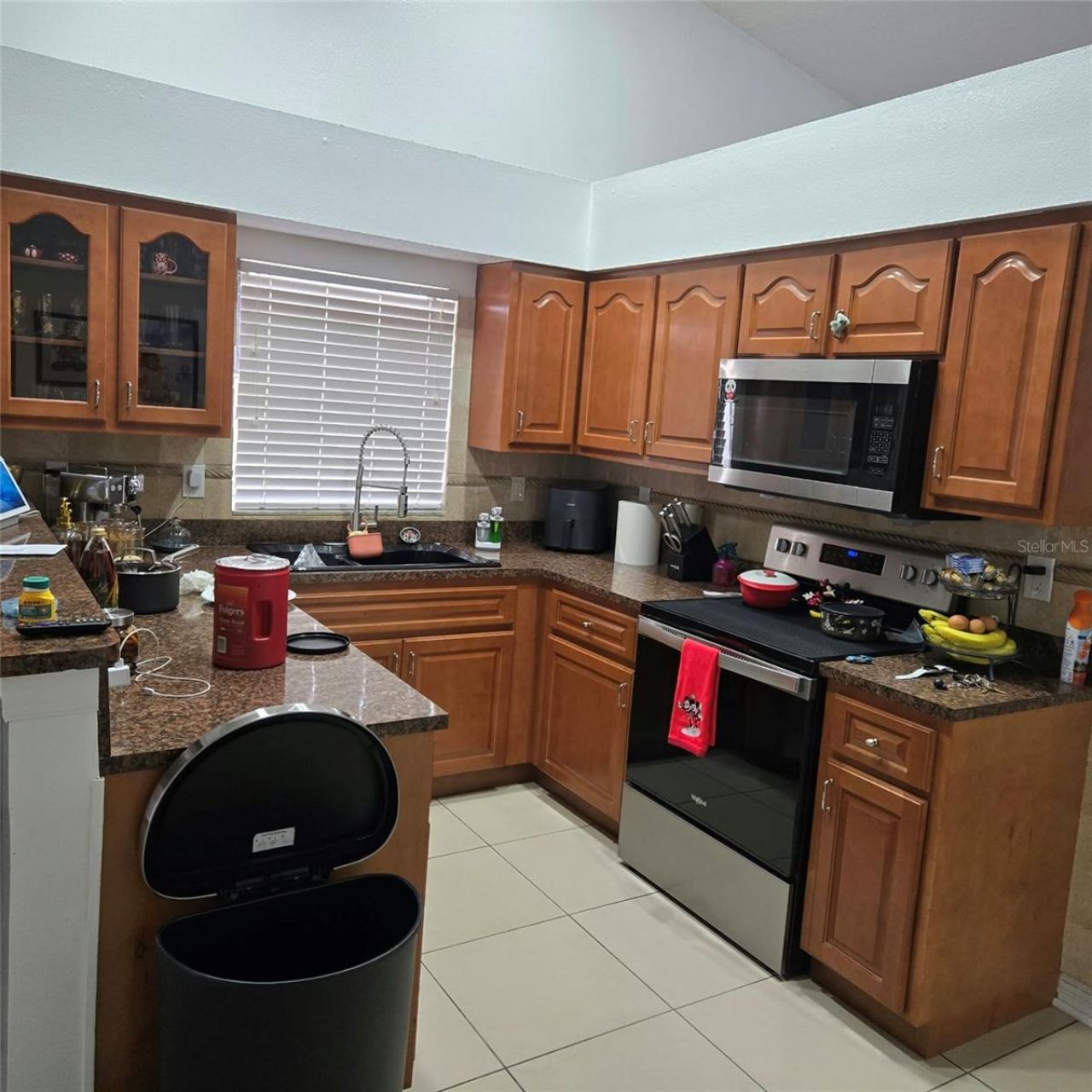 2108 Ridgemore Drive , Valrico, FL 33594 Photo