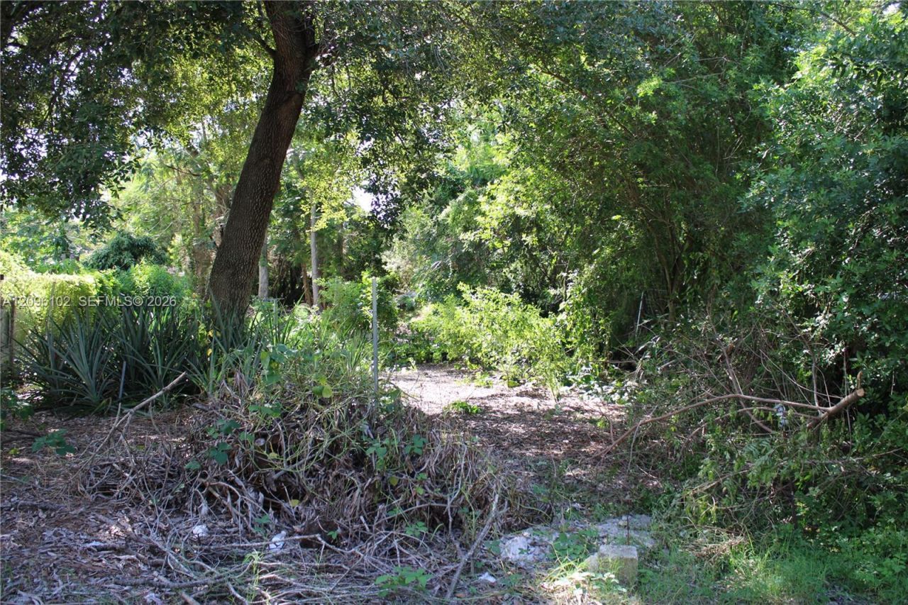 214 Geese St , Avon Park, FL 33825 Photo