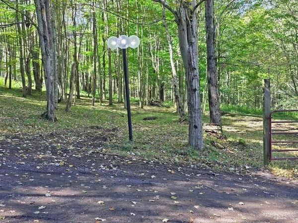 Parcel 100,Lot 1 RABBIT HOLLOW ROAD, ACCIDENT, MD 21520