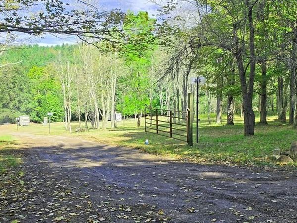 Parcel 101,Lot 2 RABBIT HOLLOW ROAD, ACCIDENT, MD 21520